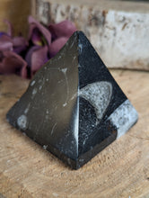 Load image into Gallery viewer, Limestone with Goniatite Pyramid - Medium