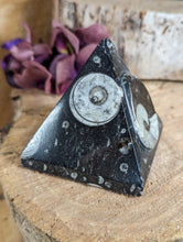 Load image into Gallery viewer, Limestone with Goniatite Pyramid - Medium