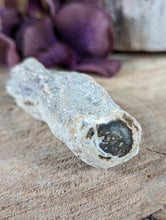 Load image into Gallery viewer, Mini Petrified Wood Stumps