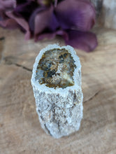 Load image into Gallery viewer, Mini Petrified Wood Stumps