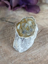 Load image into Gallery viewer, Mini Petrified Wood Stumps