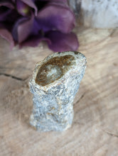 Load image into Gallery viewer, Mini Petrified Wood Stumps