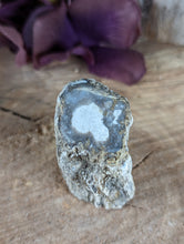 Load image into Gallery viewer, Mini Petrified Wood Stumps