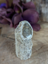 Load image into Gallery viewer, Mini Petrified Wood Stumps