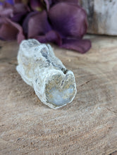 Load image into Gallery viewer, Mini Petrified Wood Stumps