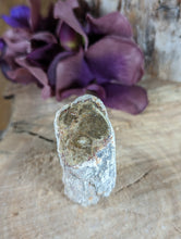 Load image into Gallery viewer, Mini Petrified Wood Stumps