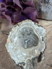 Load image into Gallery viewer, Mini Petrified Wood Stumps