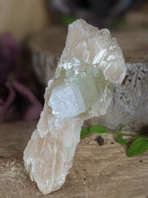 Load image into Gallery viewer, Stilbite with Apophyllite