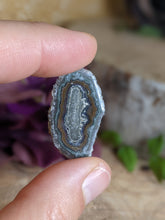 Load image into Gallery viewer, Stalactite Flower Slices (A)