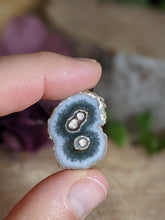 Load image into Gallery viewer, Stalactite Flower Slices (A)