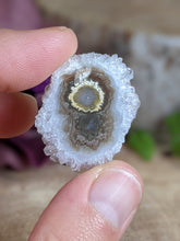 Load image into Gallery viewer, Stalactite Flower Slices (B)