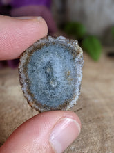 Load image into Gallery viewer, Stalactite Flower Slices (B)