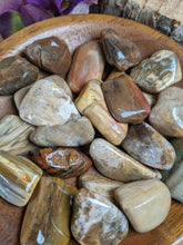 Load image into Gallery viewer, Petrified Wood Tumbled