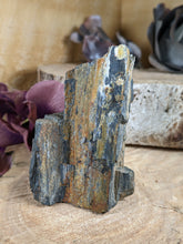 Load image into Gallery viewer, Petrified Wood Specimen