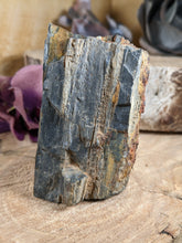 Load image into Gallery viewer, Petrified Wood Specimen