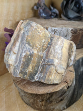 Load image into Gallery viewer, Petrified Wood Specimen