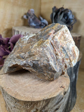 Load image into Gallery viewer, Petrified Wood Specimen