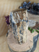 Load image into Gallery viewer, Petrified Wood "Stump" - Large