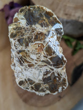 Load image into Gallery viewer, Petrified Wood "Stump" - Large