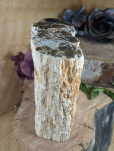 Load image into Gallery viewer, Petrified Wood "Stump" - Large