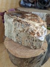 Load image into Gallery viewer, Petrified Wood "Stump" - Large