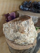 Load image into Gallery viewer, Petrified Wood "Stump" - Large