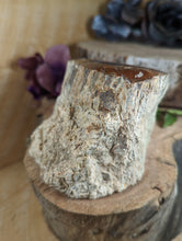 Load image into Gallery viewer, Petrified Wood "Stump" - Large