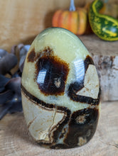 Load image into Gallery viewer, Septarian Freeform