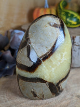 Load image into Gallery viewer, Septarian Freeform