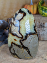 Load image into Gallery viewer, Septarian Freeform