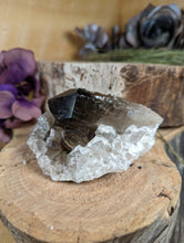 Load image into Gallery viewer, Smoky Quartz Cluster