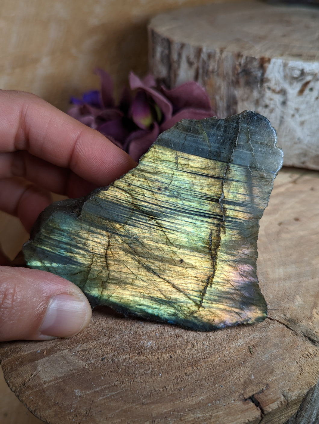 Polished Labradorite