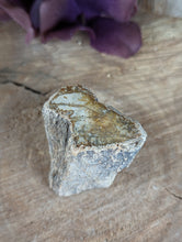 Load image into Gallery viewer, Mini Petrified Wood Stumps
