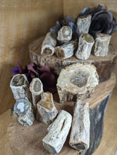 Load image into Gallery viewer, Mini Petrified Wood Stumps
