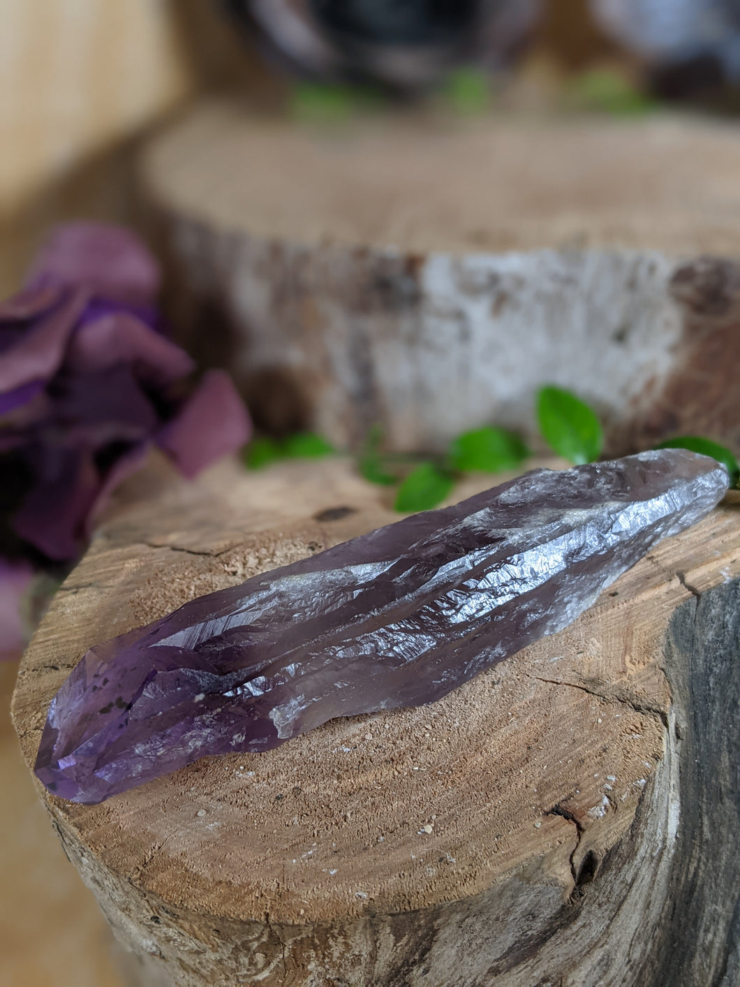 Small amethyst wand laying on a wooden stump