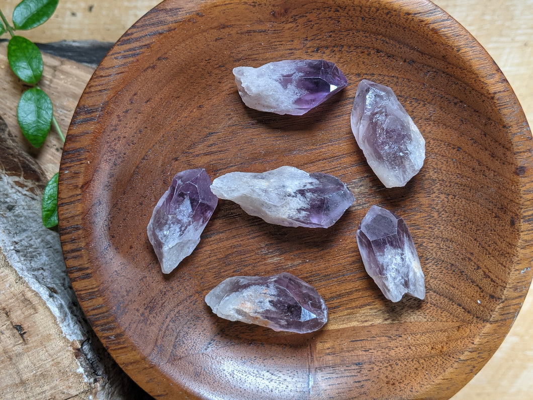 Small single terminated amethyst points in a wooden bowl next to periwinkle leaves.