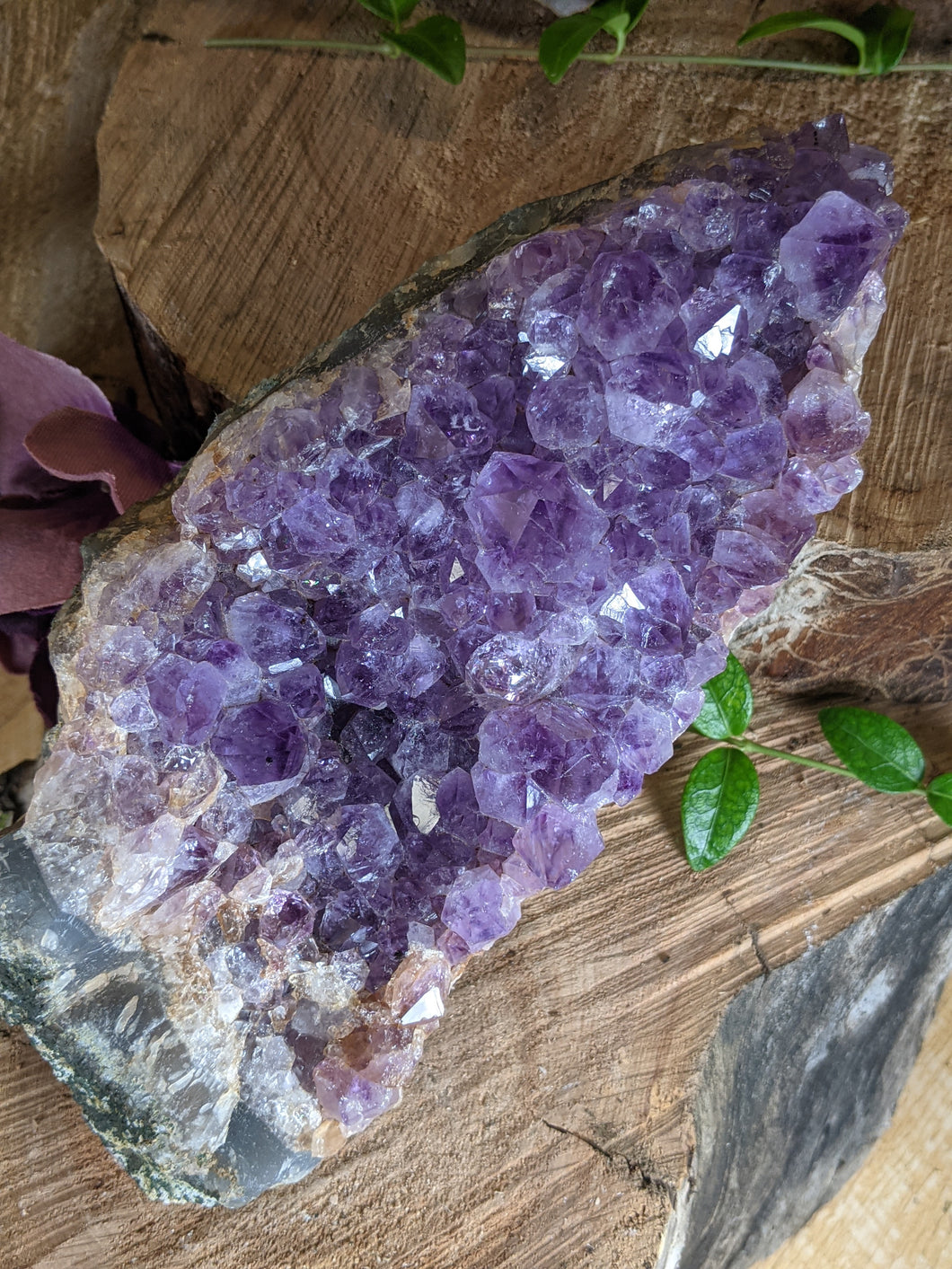 Large amethyst cluster on a wooden stump with periwinkle leaves.
