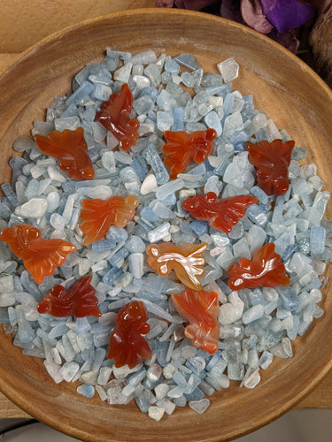 Orange carved agate fish in a bowl of aquamarine chips. 