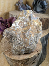 Load image into Gallery viewer, Petrified Wood Specimen
