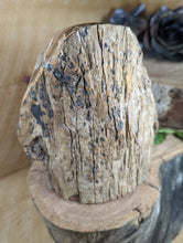 Load image into Gallery viewer, Petrified Wood &quot;Stump&quot; - Large
